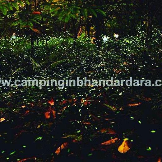 Hotel Samadhan บันดาดารา ภายนอก รูปภาพ